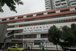 Bukit Timah Shopping Centre (D21), Retail #475215911